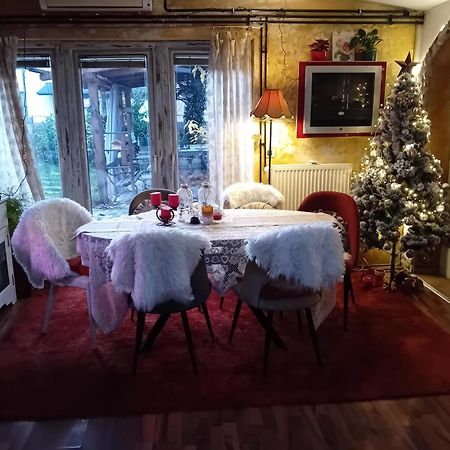 Rose Room 40M2 With Terrace 25M2 In Greeny Area For 4 Person Ljubljana Eksteriør bilde