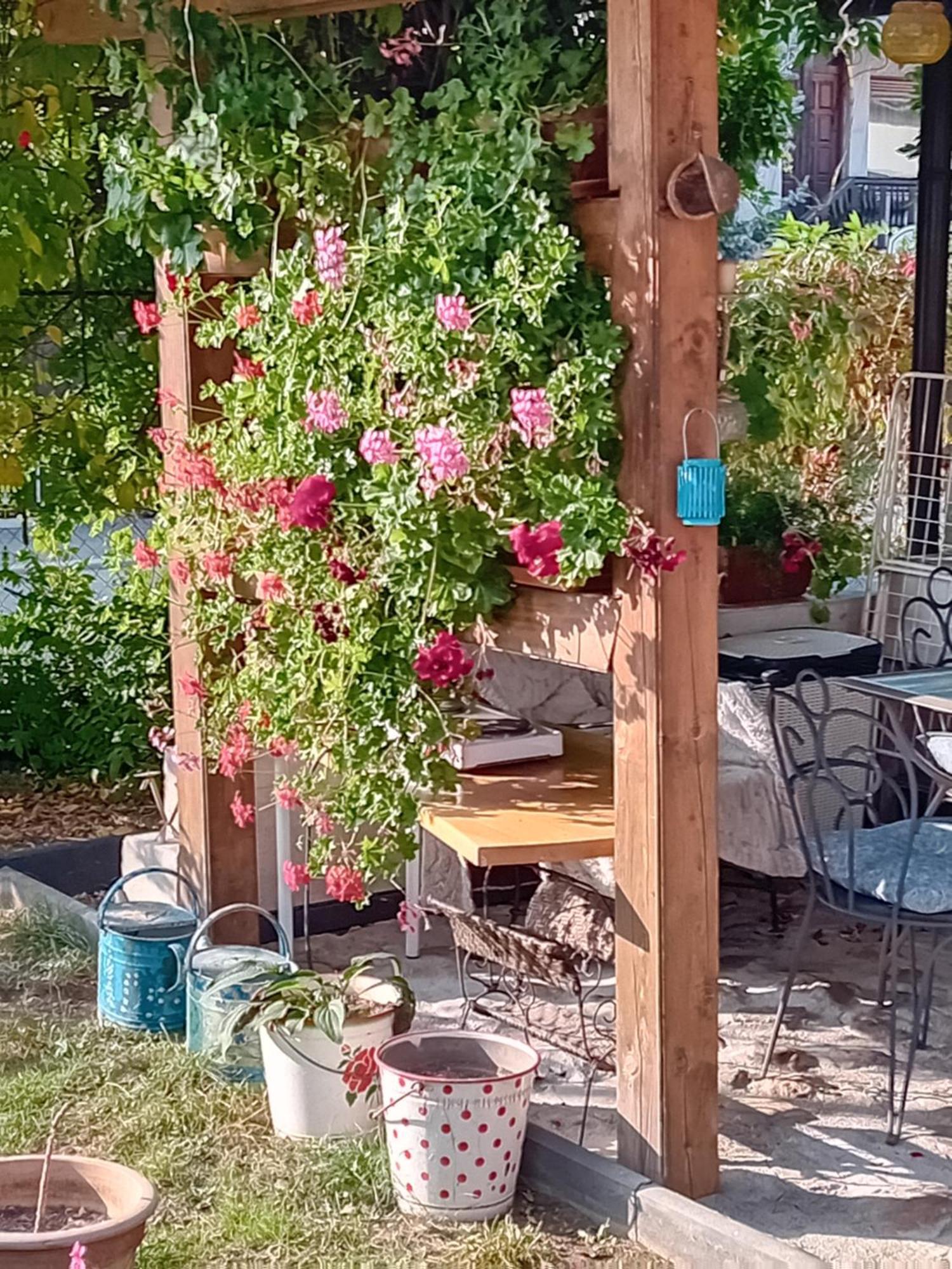 Rose Room 40M2 With Terrace 25M2 In Greeny Area For 4 Person Ljubljana Eksteriør bilde