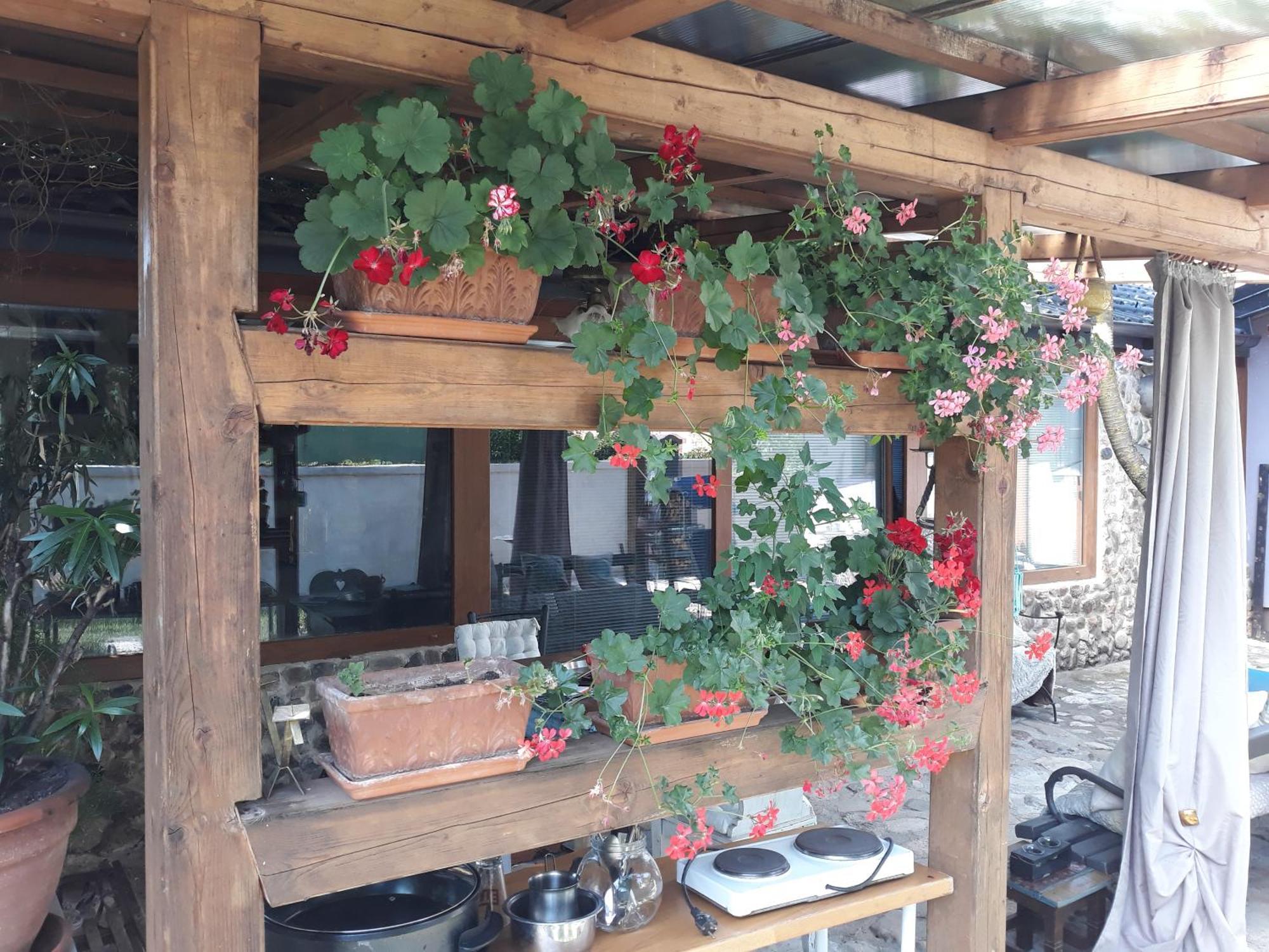 Rose Room 40M2 With Terrace 25M2 In Greeny Area For 4 Person Ljubljana Eksteriør bilde