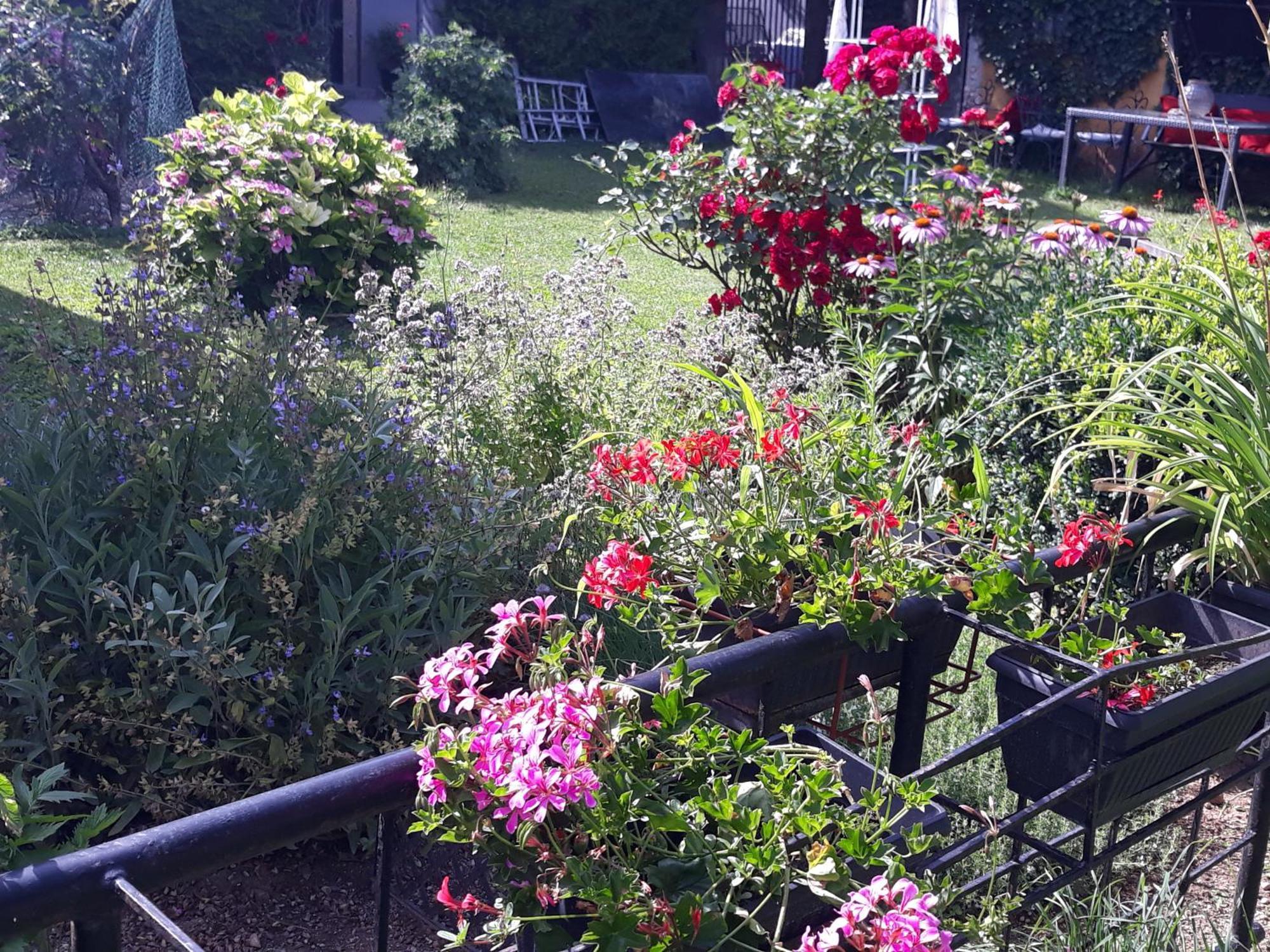 Rose Room 40M2 With Terrace 25M2 In Greeny Area For 4 Person Ljubljana Eksteriør bilde