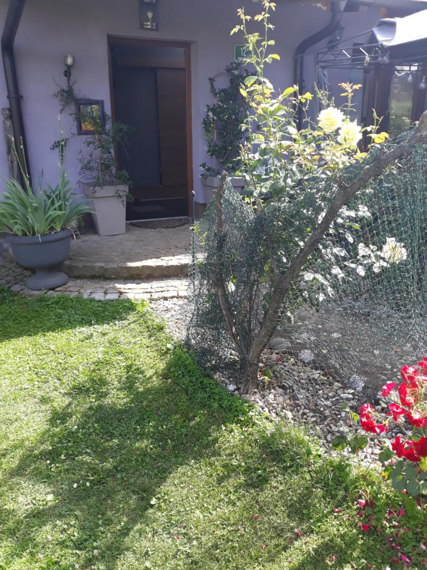 Rose Room 40M2 With Terrace 25M2 In Greeny Area For 4 Person Ljubljana Eksteriør bilde