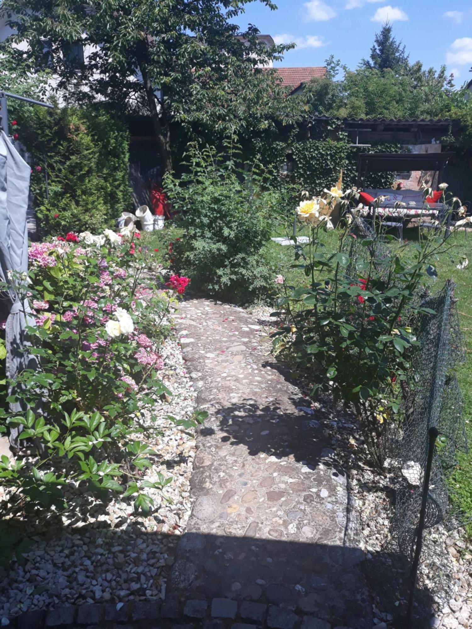 Rose Room 40M2 With Terrace 25M2 In Greeny Area For 4 Person Ljubljana Eksteriør bilde