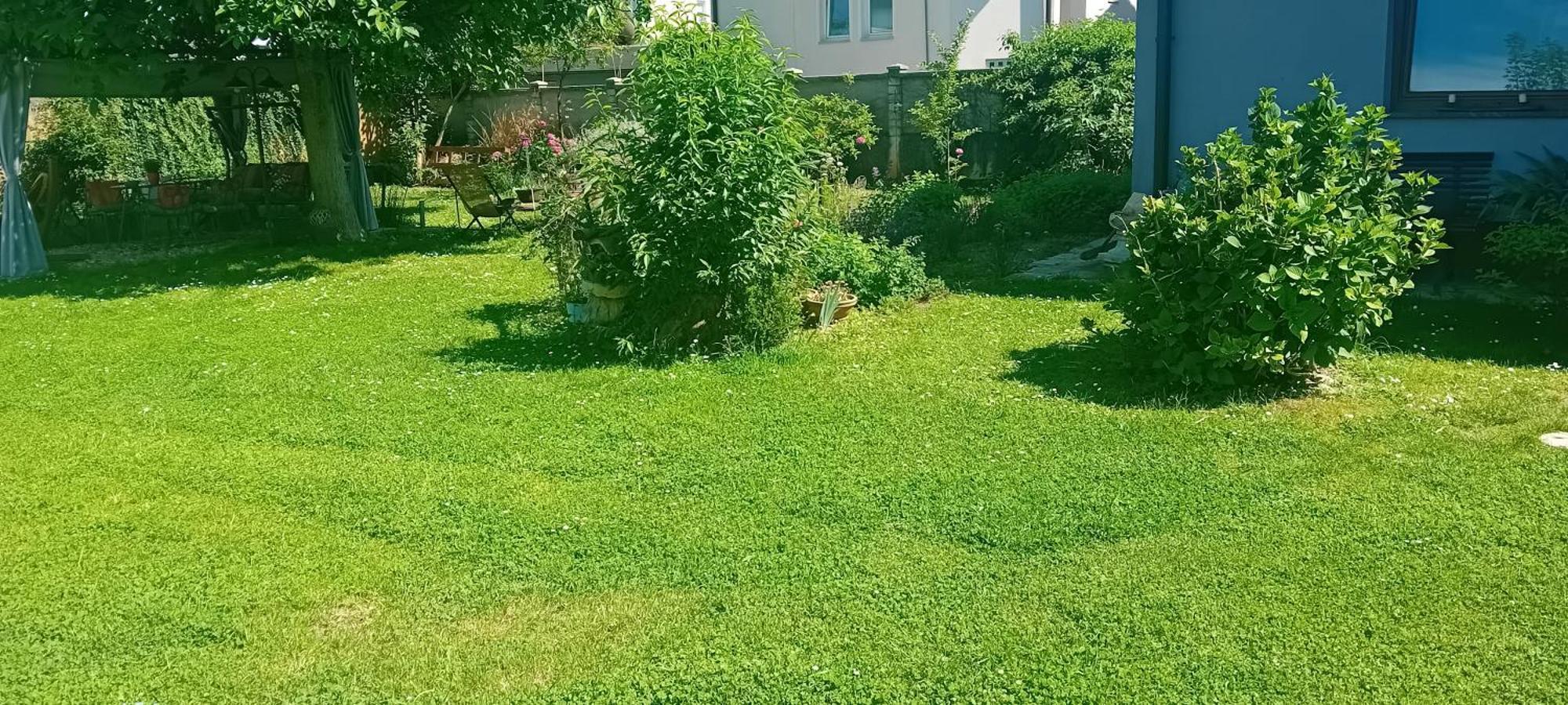Rose Room 40M2 With Terrace 25M2 In Greeny Area For 4 Person Ljubljana Eksteriør bilde