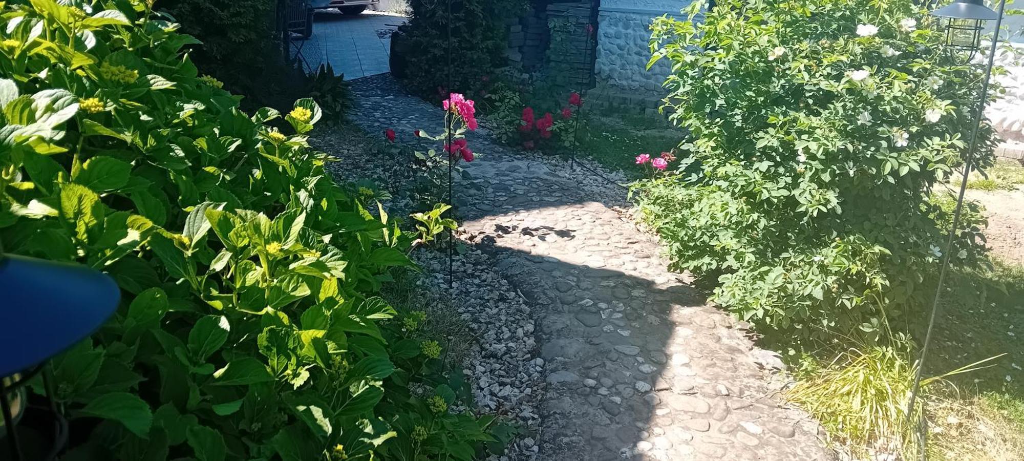 Rose Room 40M2 With Terrace 25M2 In Greeny Area For 4 Person Ljubljana Eksteriør bilde